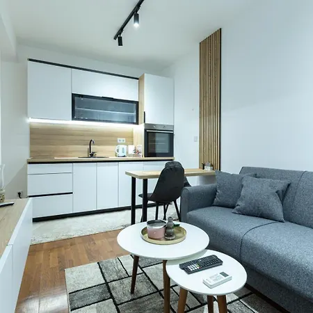 Ultra Modern 1-bedroom With Free Garage - サラエヴォ